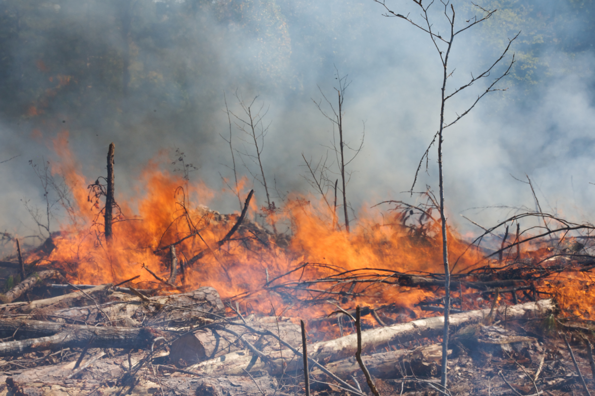 Guía 2025 de prevención de incendios para el campo jiennense